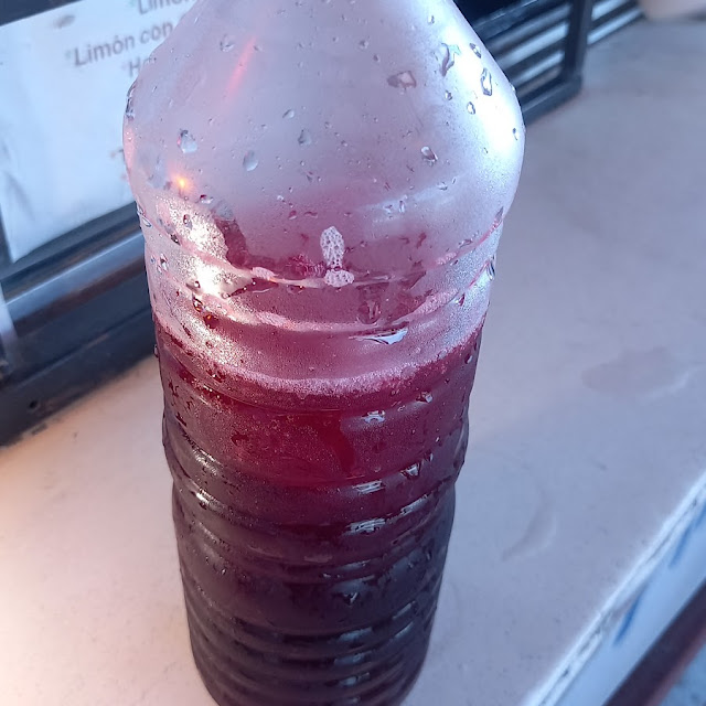 Agua de Jamaica