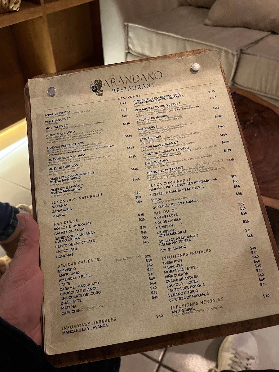 ARÁNDANO RESTAURANT Menu 5