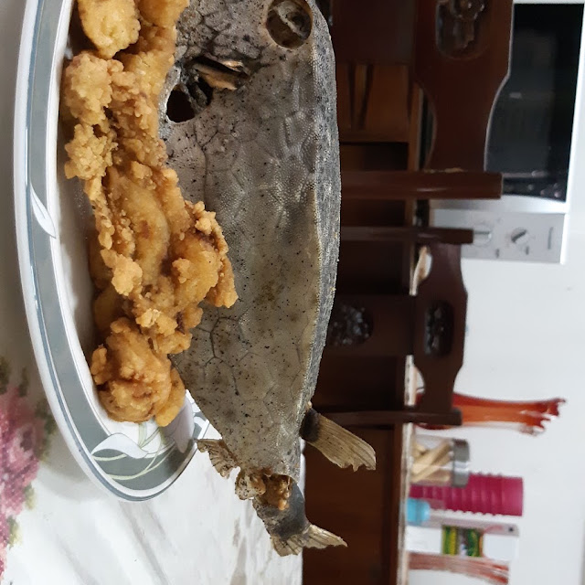 Ikan Kudu Kudu Goreng