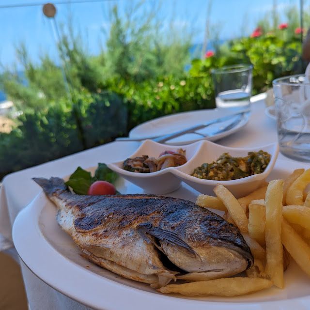 Fresh Fish on the Grill
