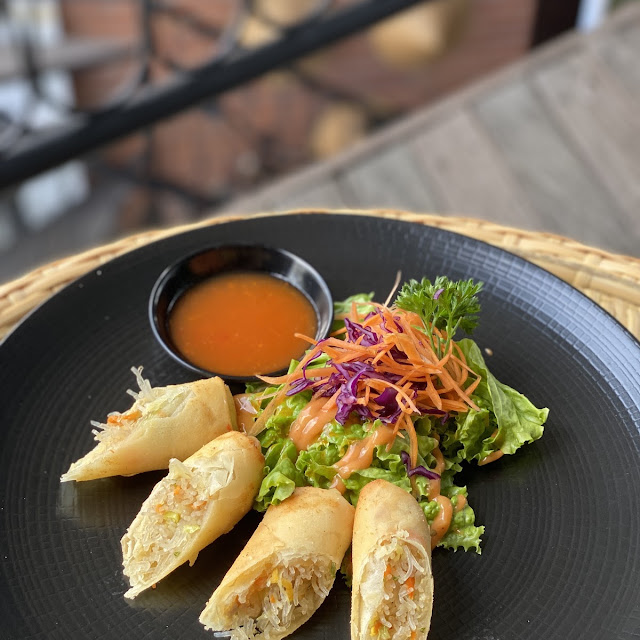 Chicken Spring Roll