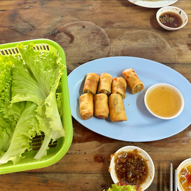 Fried Spring Rolls