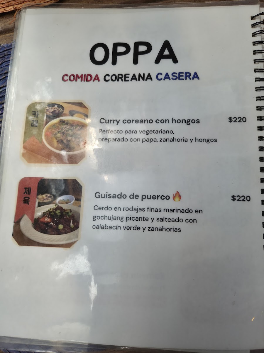 OPPA 오빠 Menu 9