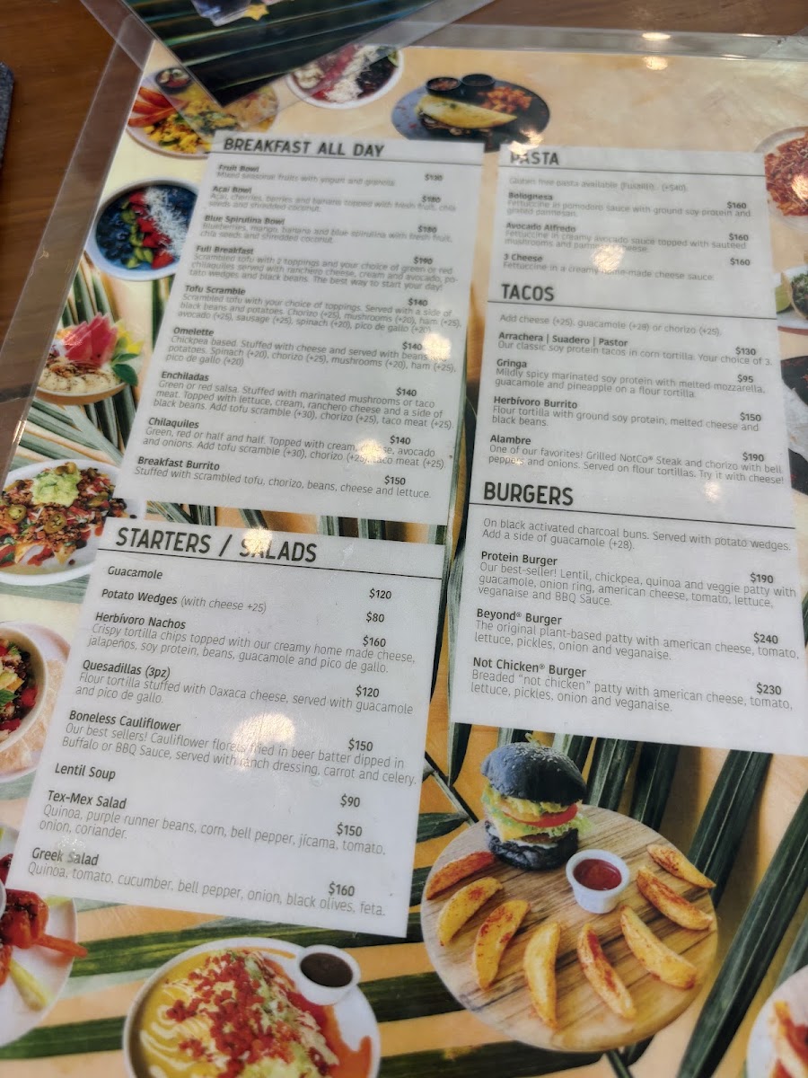 Herbívoro Menu 2