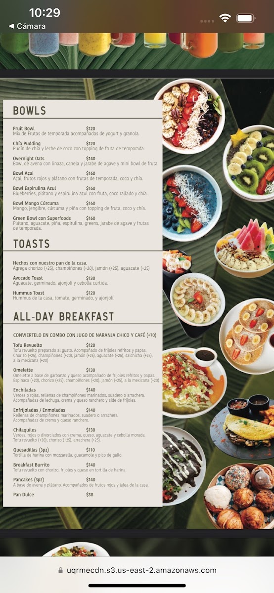 Herbívoro Menu 4