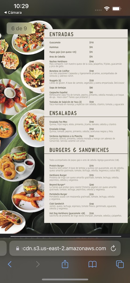 Herbívoro Menu 9