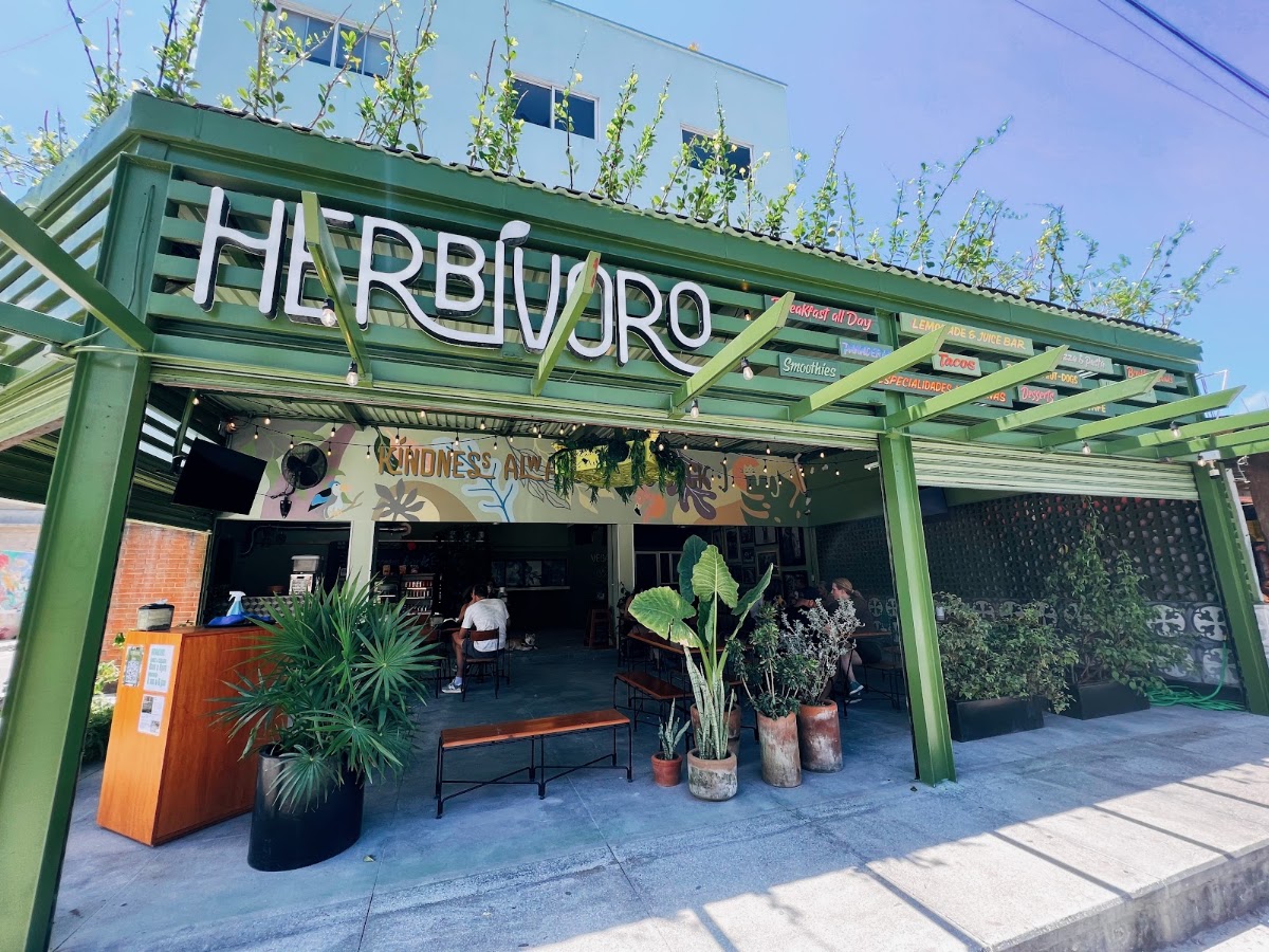 Herbívoro