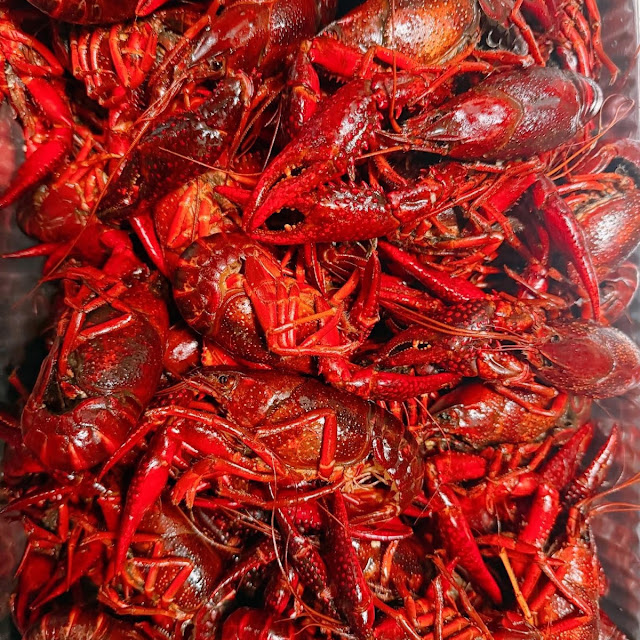 Red Crawfish Seafood