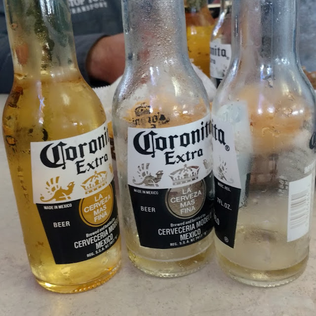 Corona 12 Oz
