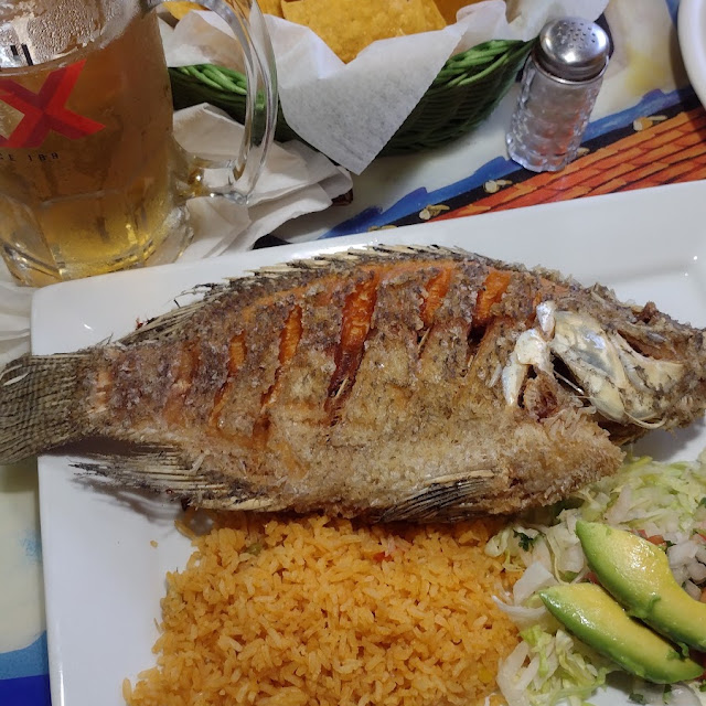 Mojarra Dorada