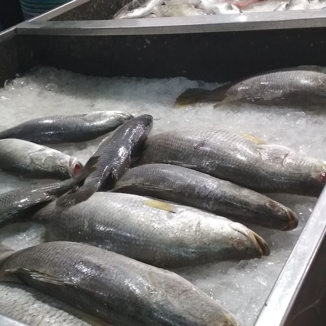 Ikan Tim Nyonya