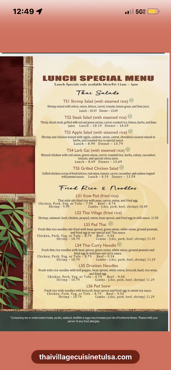 Thai Village Cuisine Menu 2