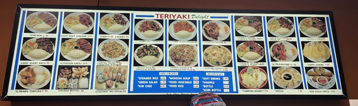Teriyaki Delight Menu 3