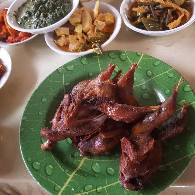 Burung Goreng