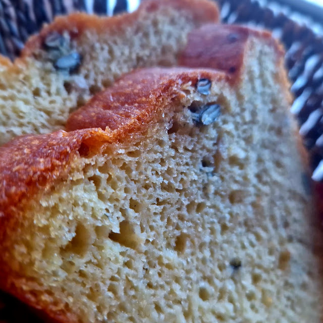 Domaći Kruh