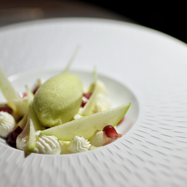 Hibiscus Vacherin