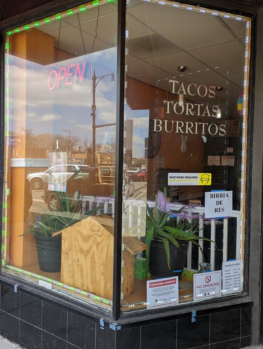 El Gallo Bravo