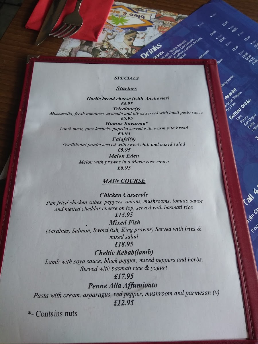 Blue & Orange Menu 9