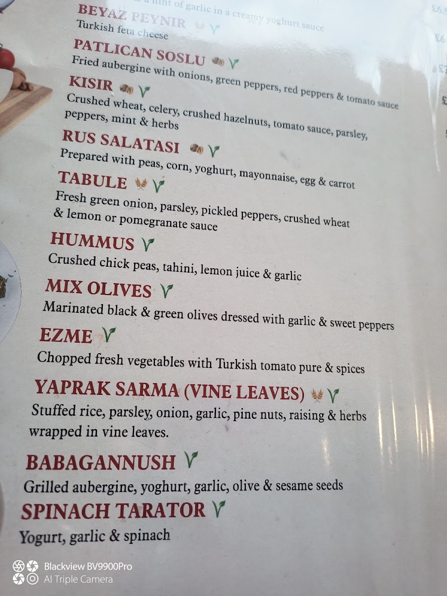 Kemal Pasha Menu 9