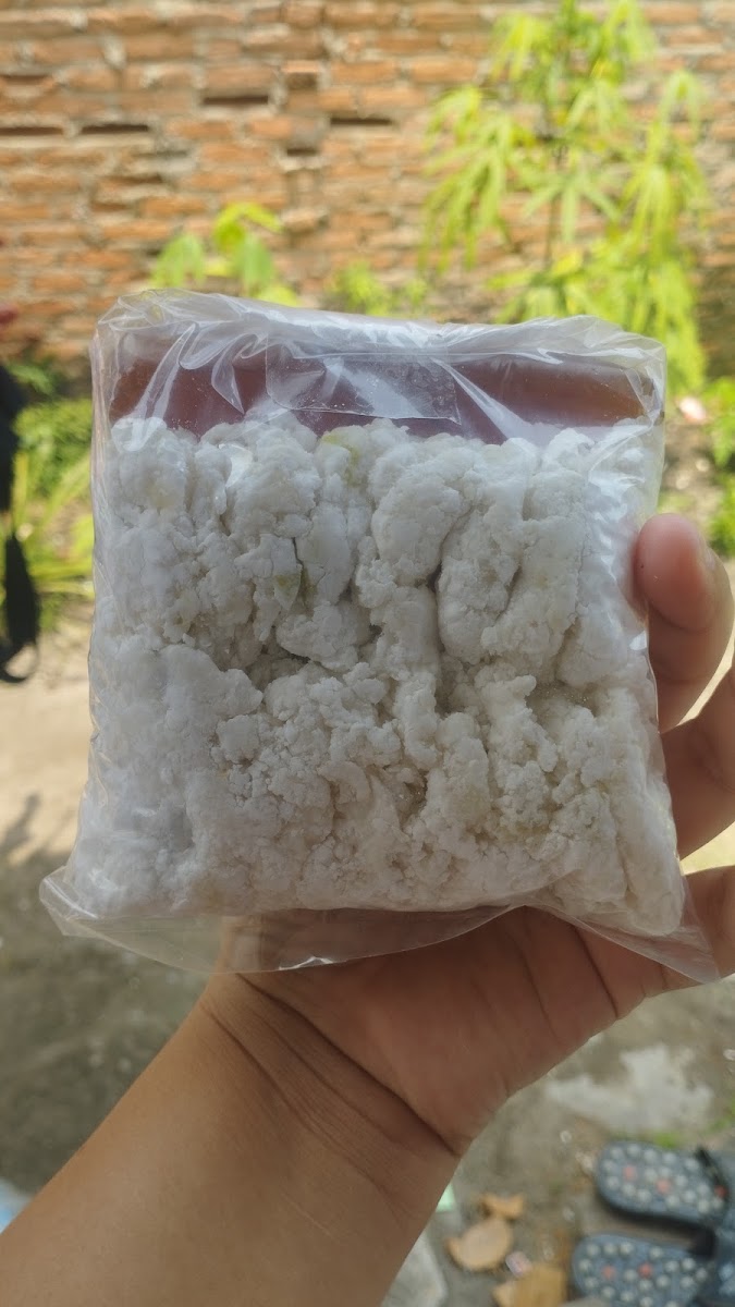 Bumbu bunda