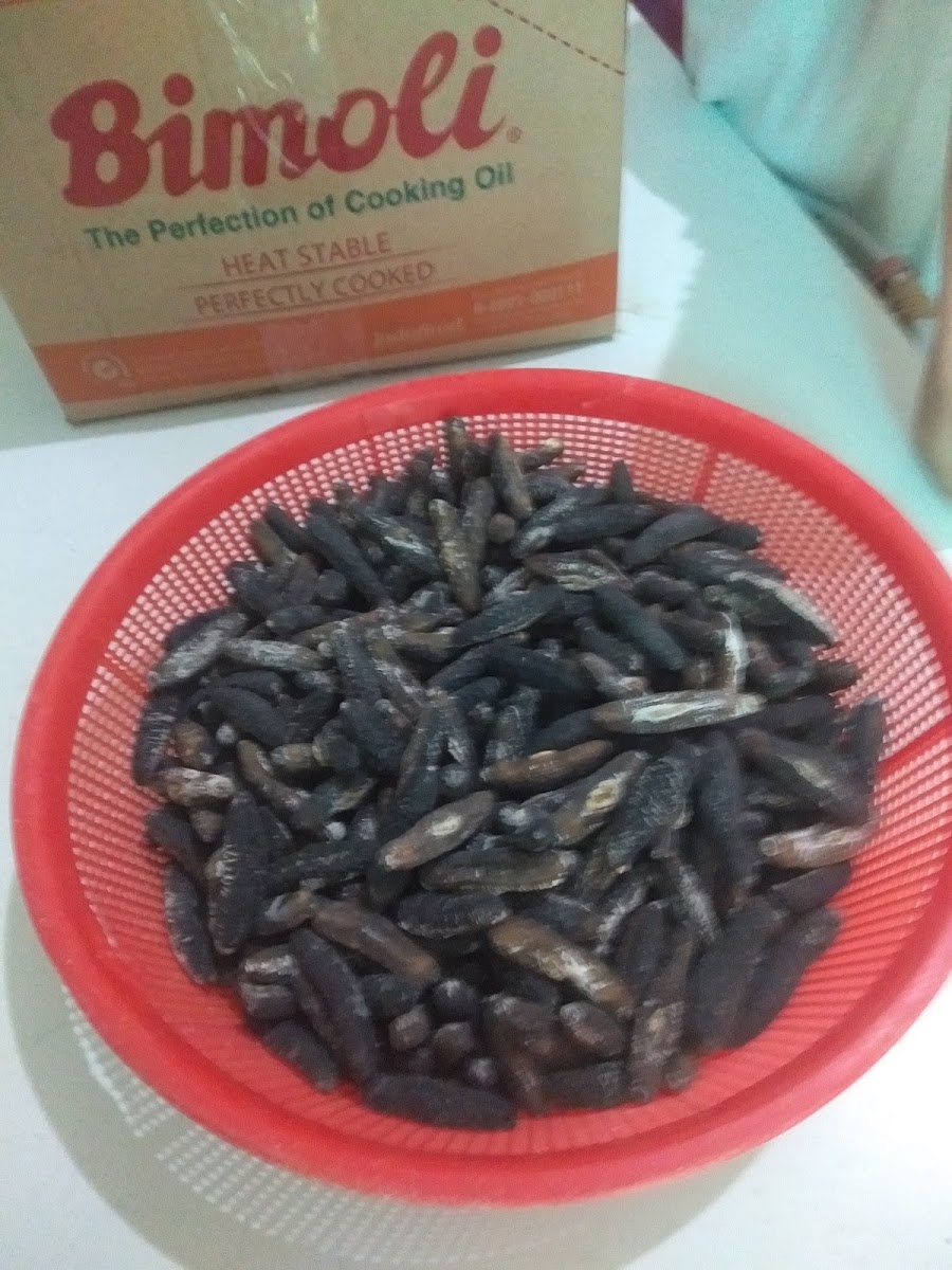 Warung Kopi Ijo