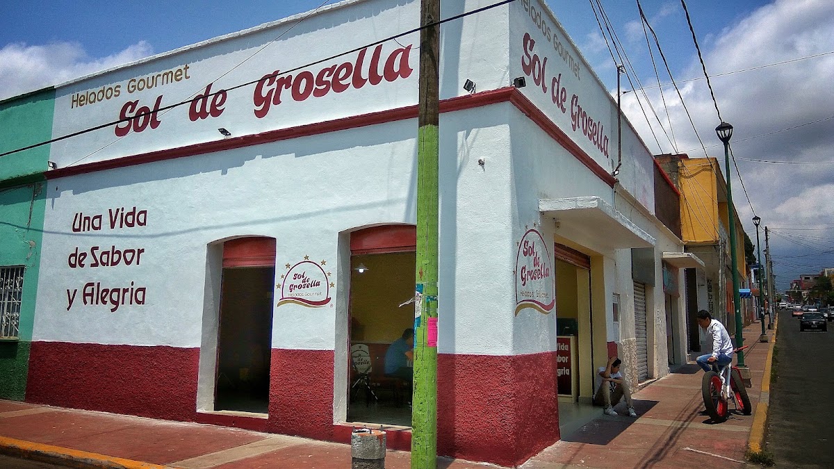 Sol de Grosella Helados Gourmet Hidalgo