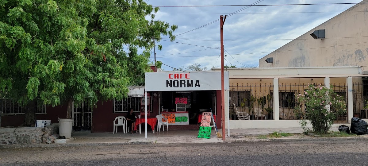 El Vergel, Barbacoa de Borrego