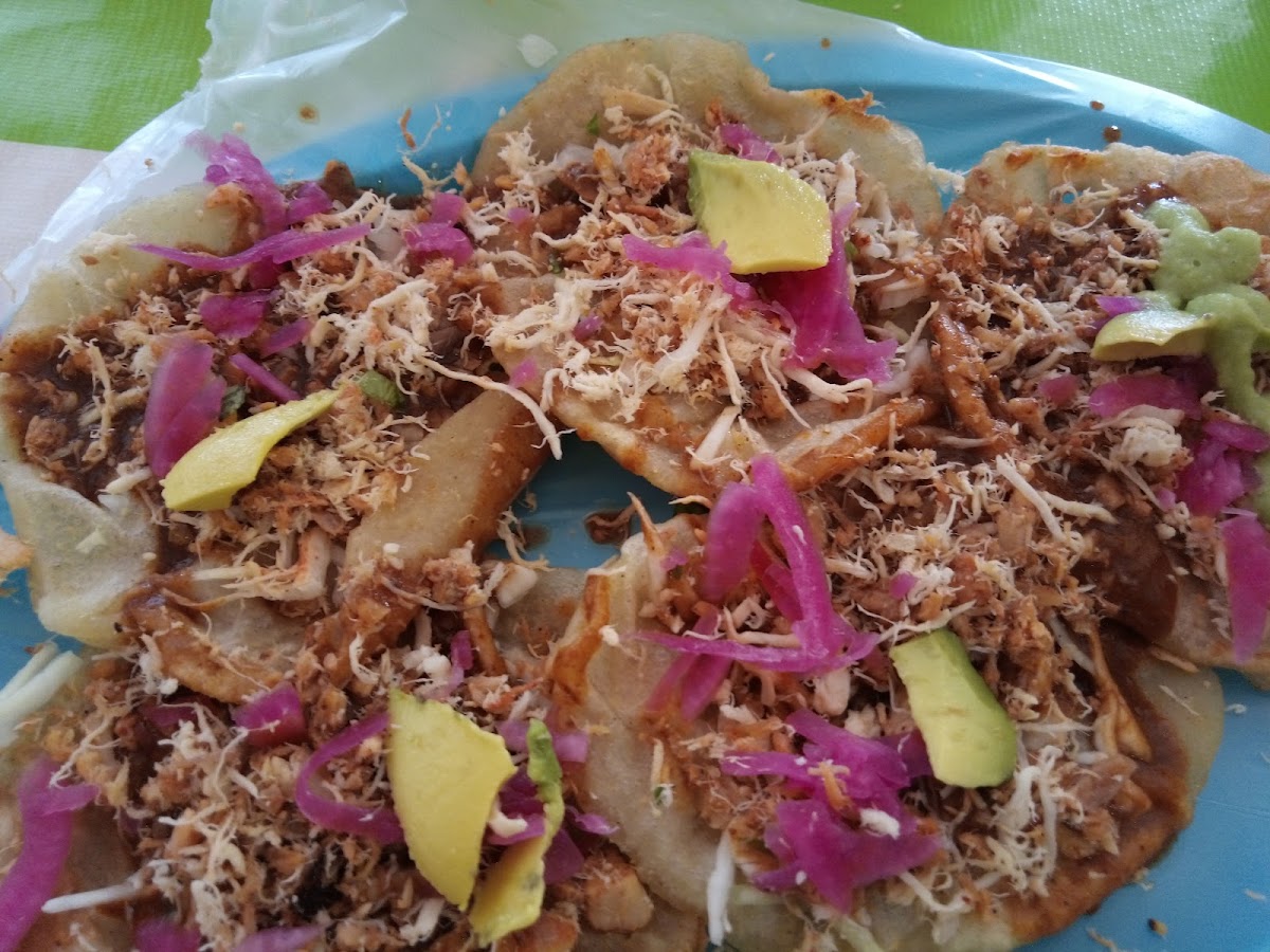 Salbutes Canul