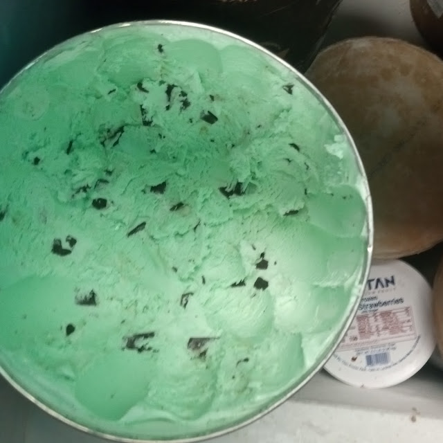 Mint Chocolate Chip