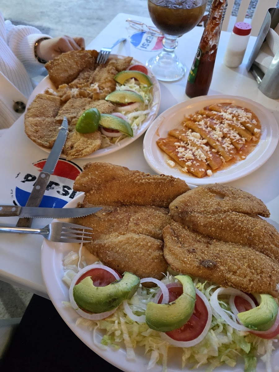 Mariscos tiburón 2