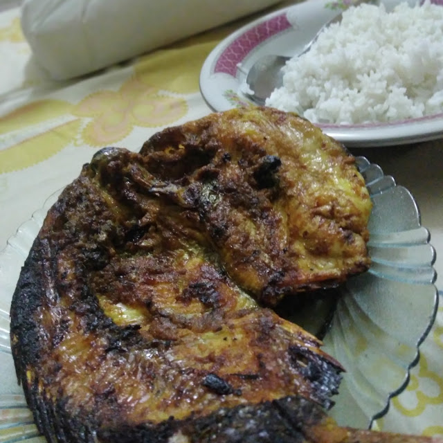 Ikan Nila Merah