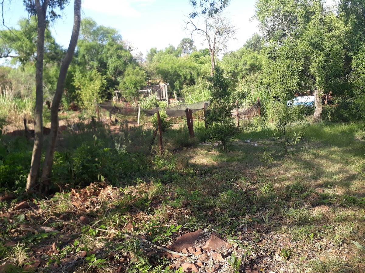 chacra