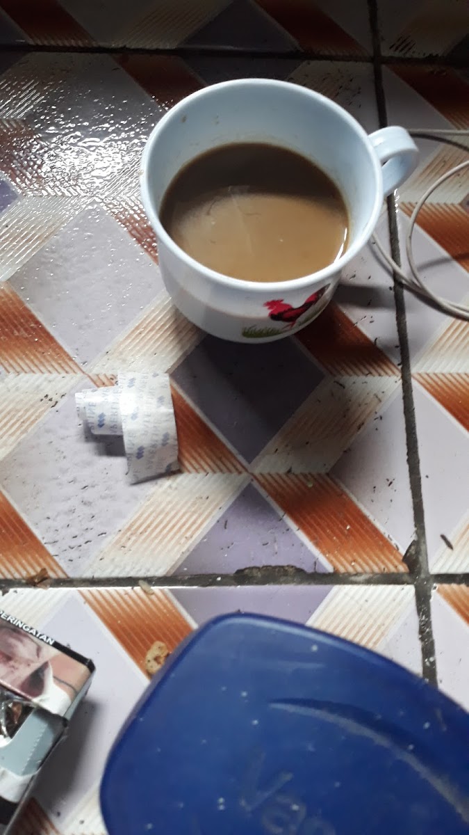 Kp legok