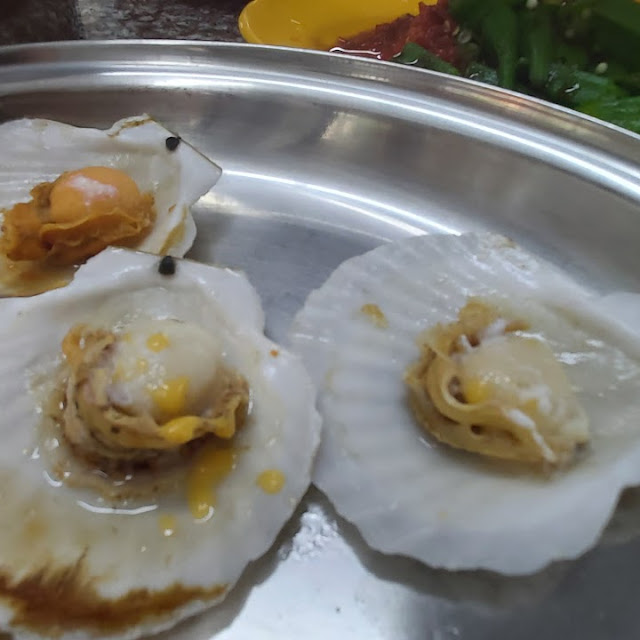 Scallop