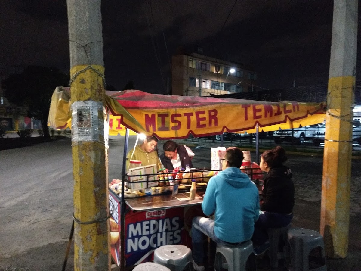 Mister Temich Carrito