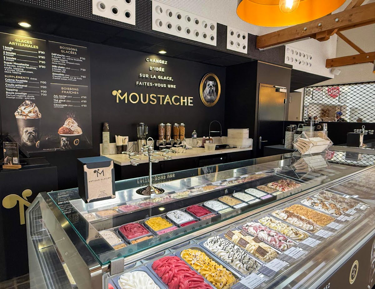 Glaces Moustache-Artisan Glacier