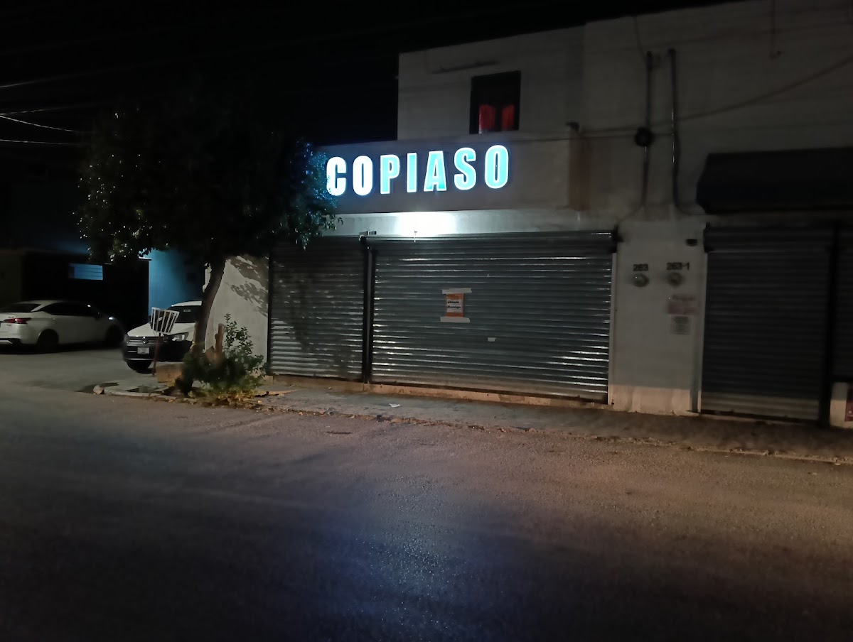 COPIASO RAMOS ARIZPE