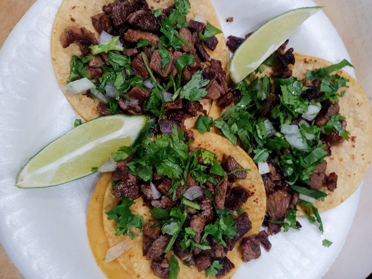 Tacos mota
