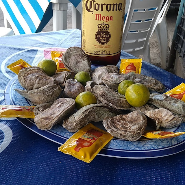 Ostiones En Su Concha